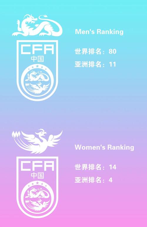 巴西世界杯最终排名揭晓,德国队夺冠排第几?