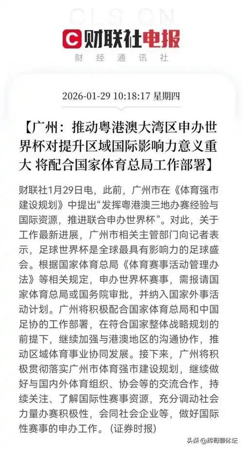 世界杯申办结果如何影响主办国经济?