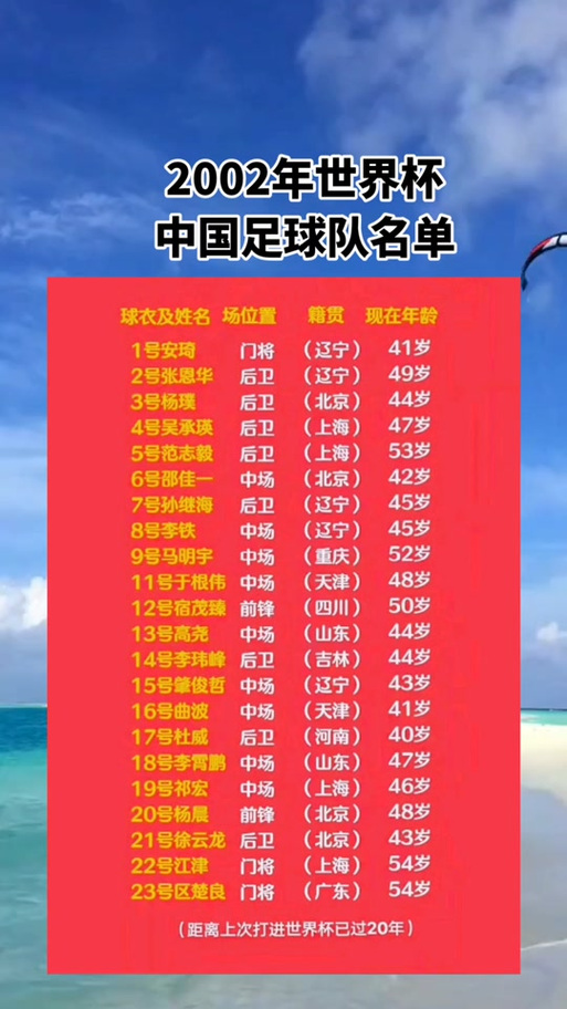2002年世界杯八强名单有哪些球队?