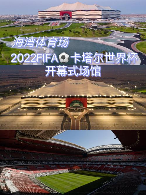 2022年世界杯在哪里举行?