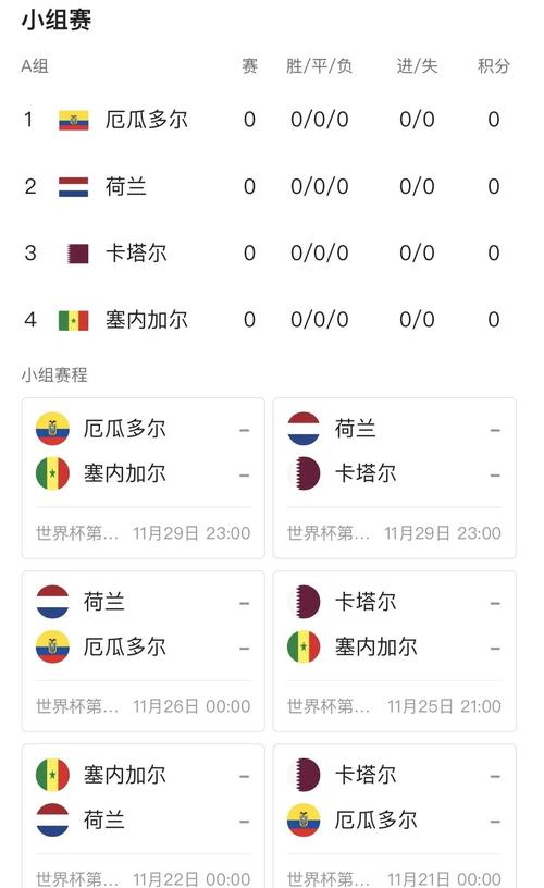 下一届世界杯在哪里举行？