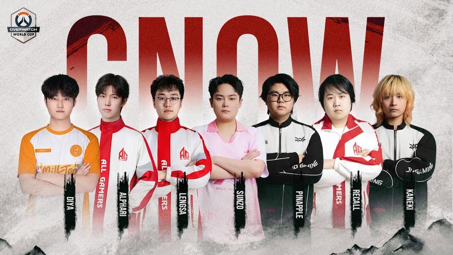 守望先锋世界杯中国队能否再创佳绩？