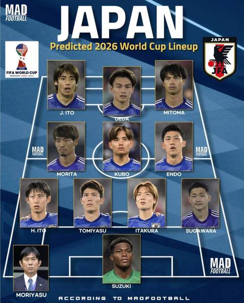 日本队世界杯名单公布,哪些球员入选?