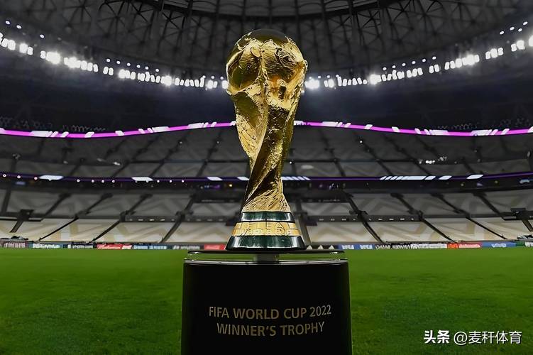 2021年世界杯在哪里举办?
