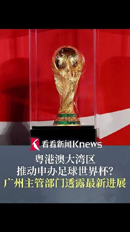 世界杯申办结果如何影响主办国经济?