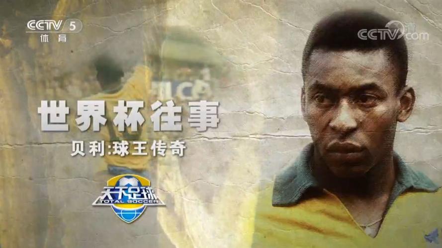 《天下足球世界杯往事：哪些经典瞬间让你热泪盈眶？》