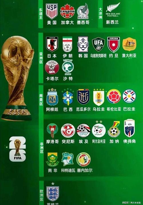 2022世界杯哪些球队已提前出线?名单一览